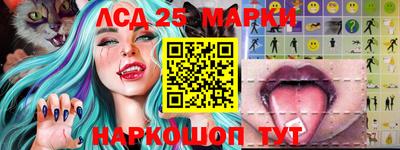 соль ск Будённовск