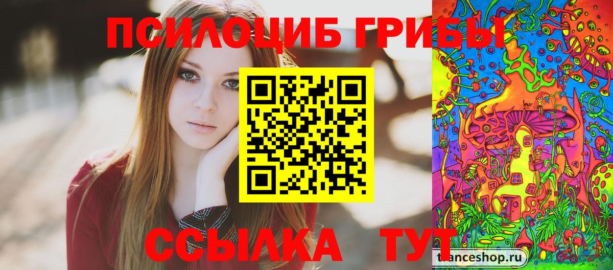 Псилоцибиновые грибы Psilocybe Чистополь