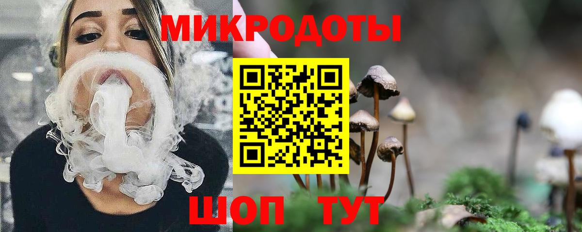 Псилоцибиновые грибы Cubensis  купить наркотик  Чистополь  Вход с VPN 